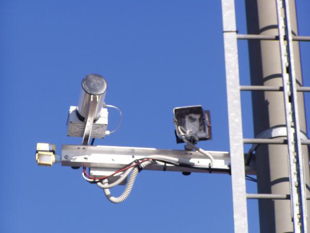 P1010031.JPG