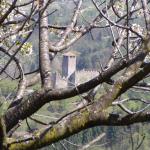 castello