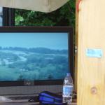 DSC03513.JPG