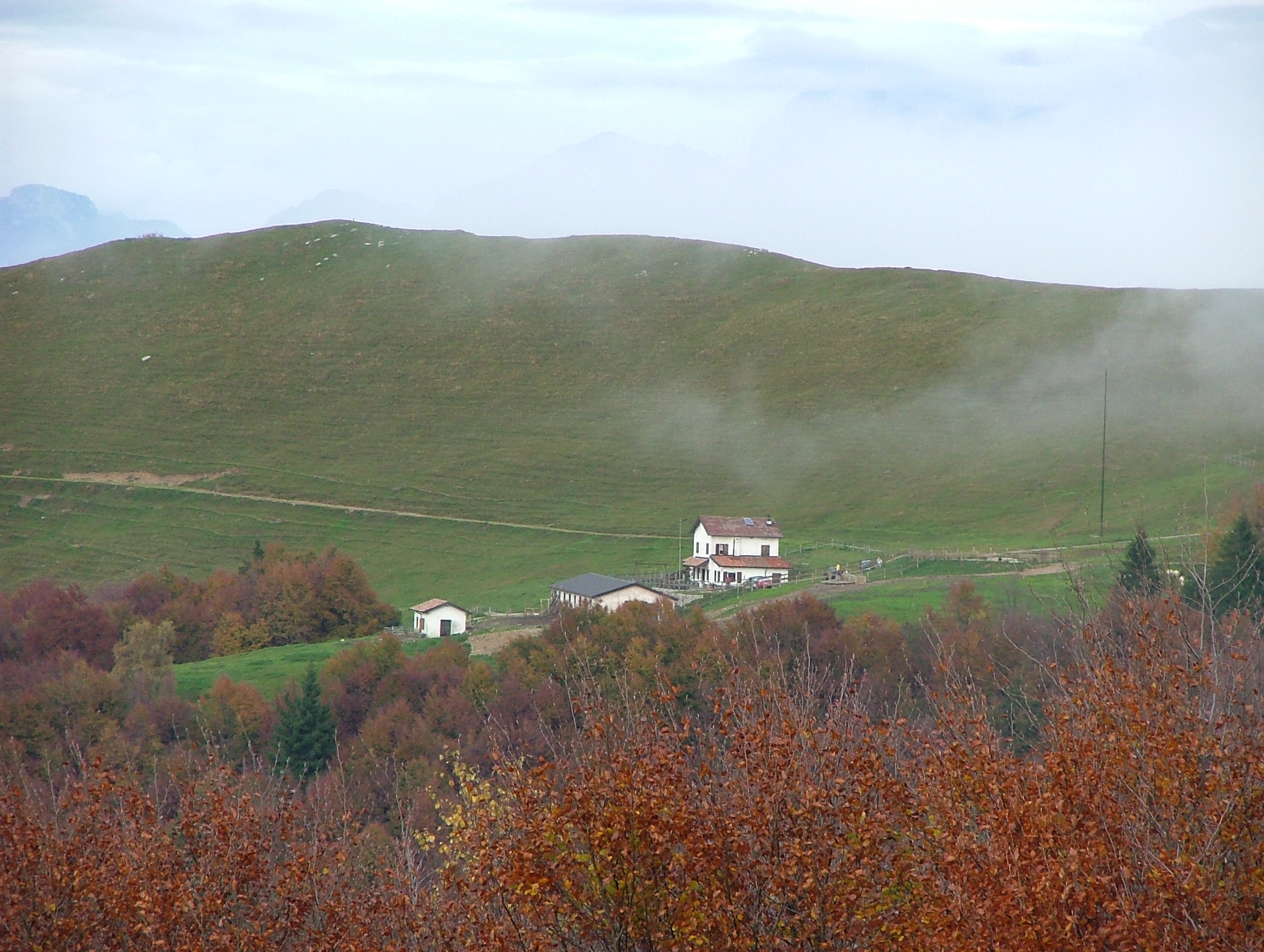 DSCF4511.JPG