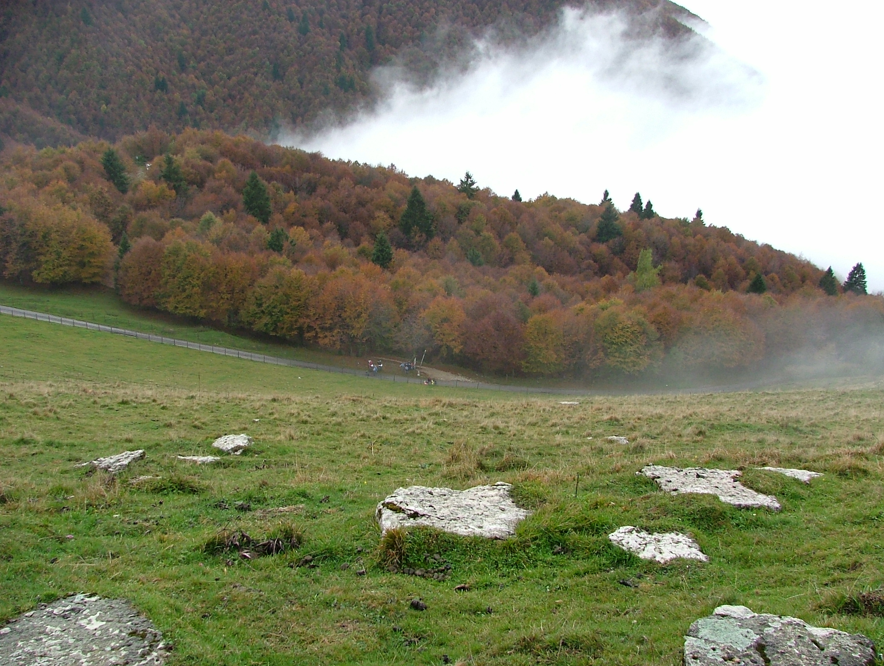 DSCF4514.JPG