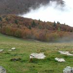 DSCF4514.JPG