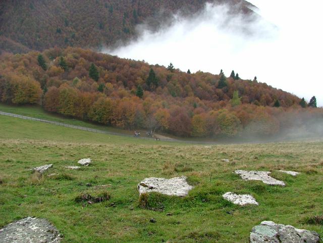 DSCF4514.JPG