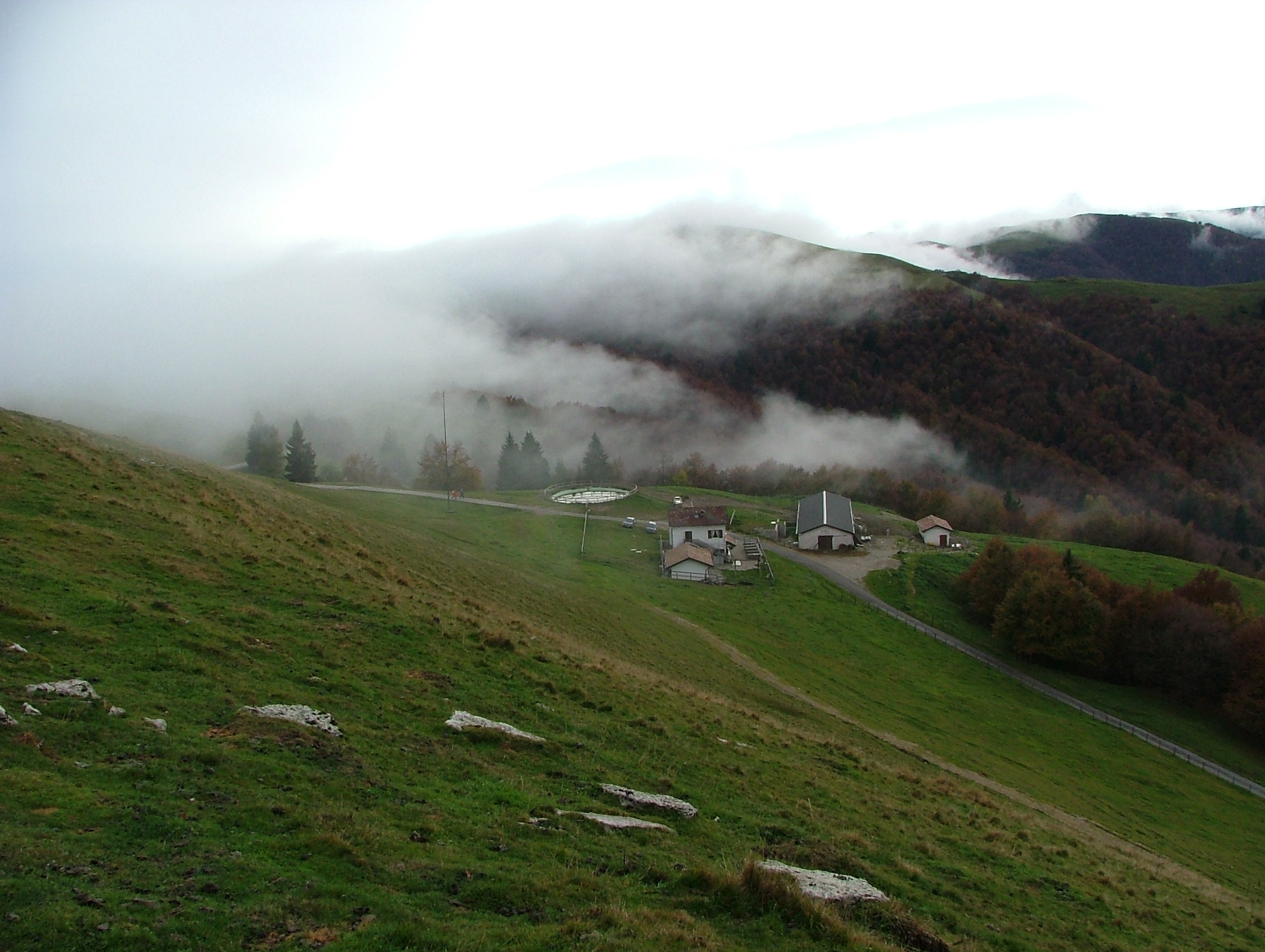 DSCF4515.JPG