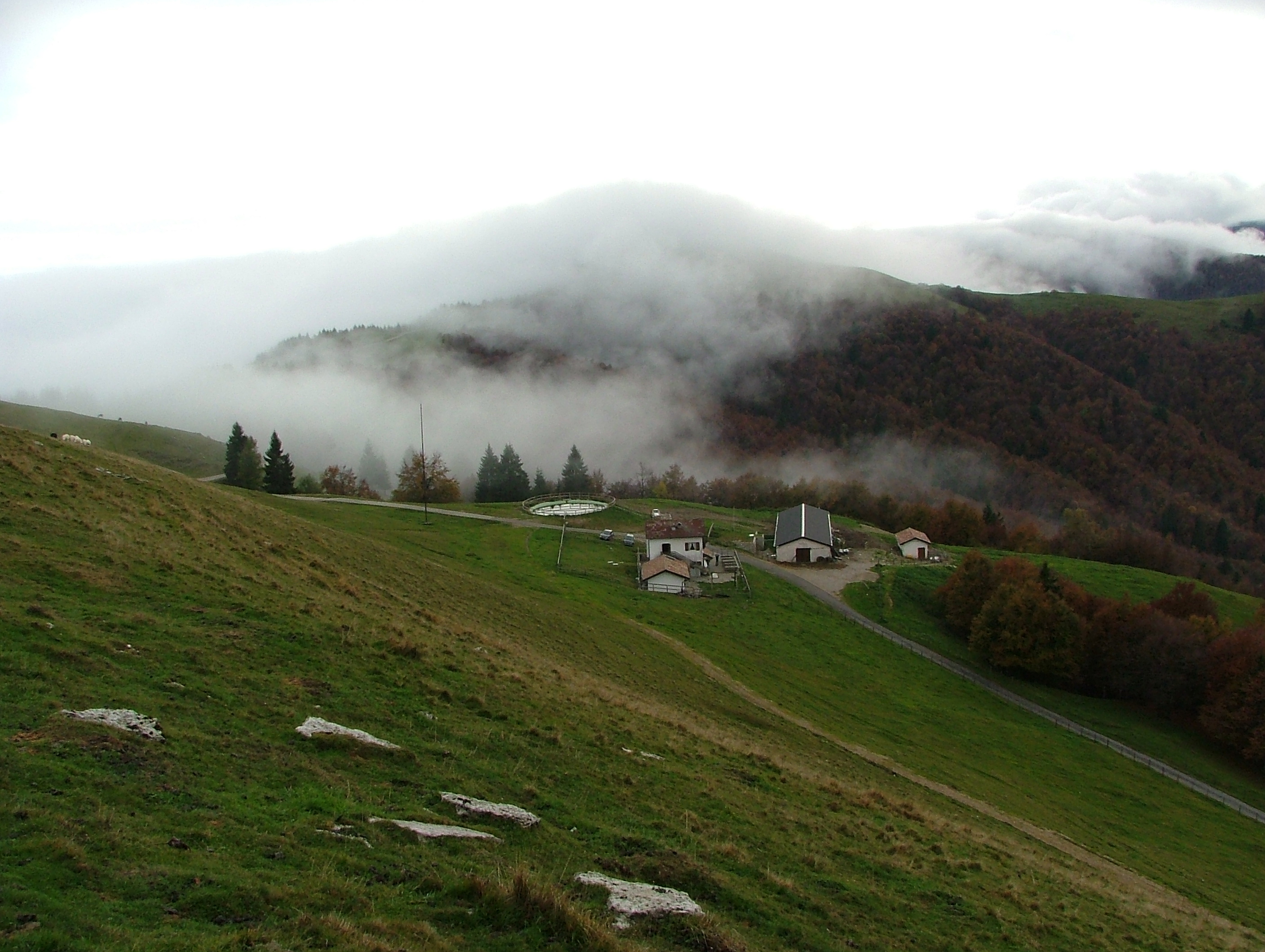 DSCF4521.JPG