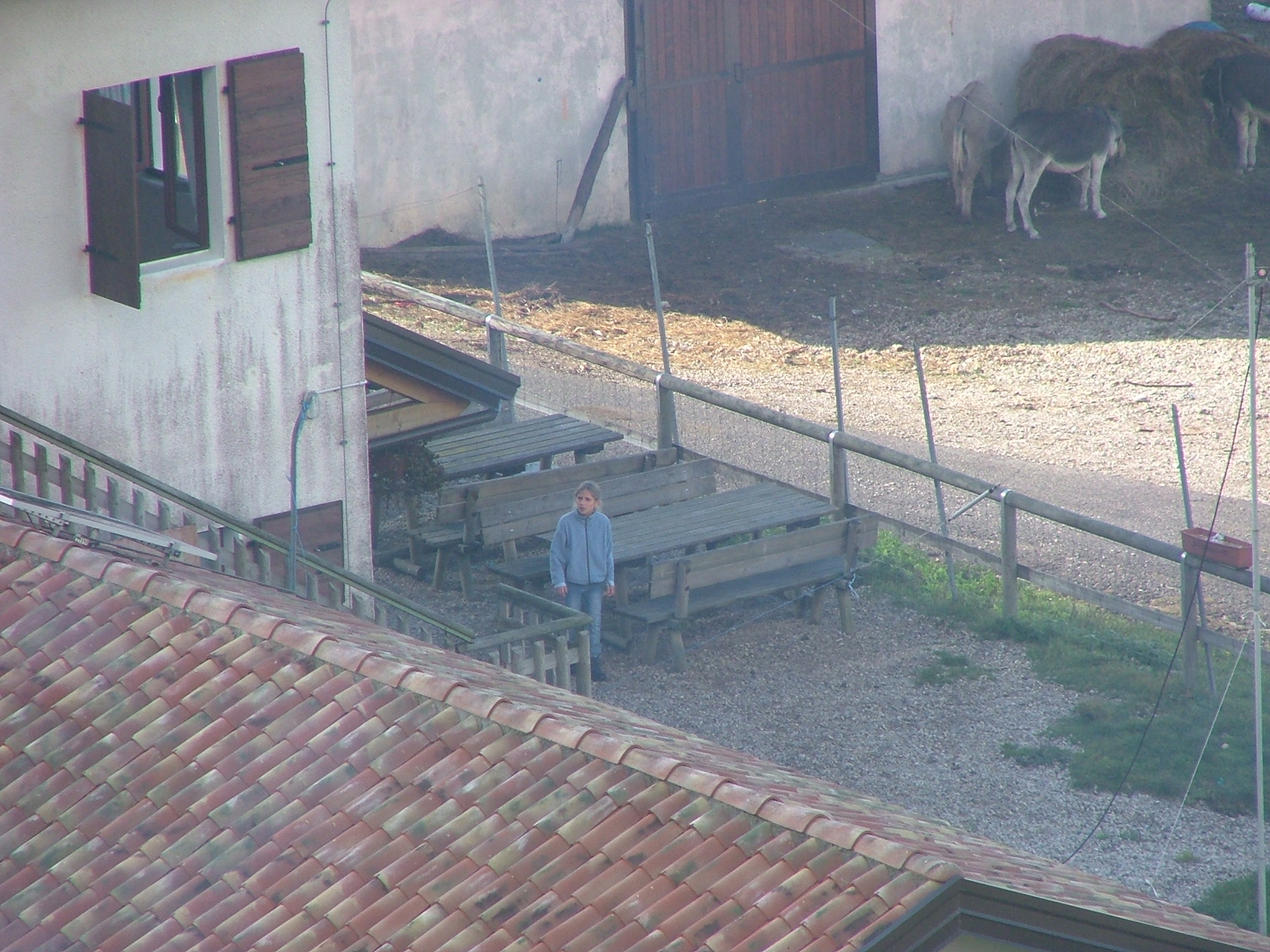 DSCF4575.JPG
