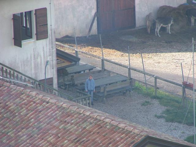 DSCF4575.JPG