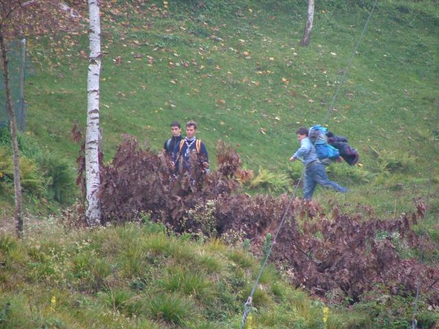 DSCF4620.JPG