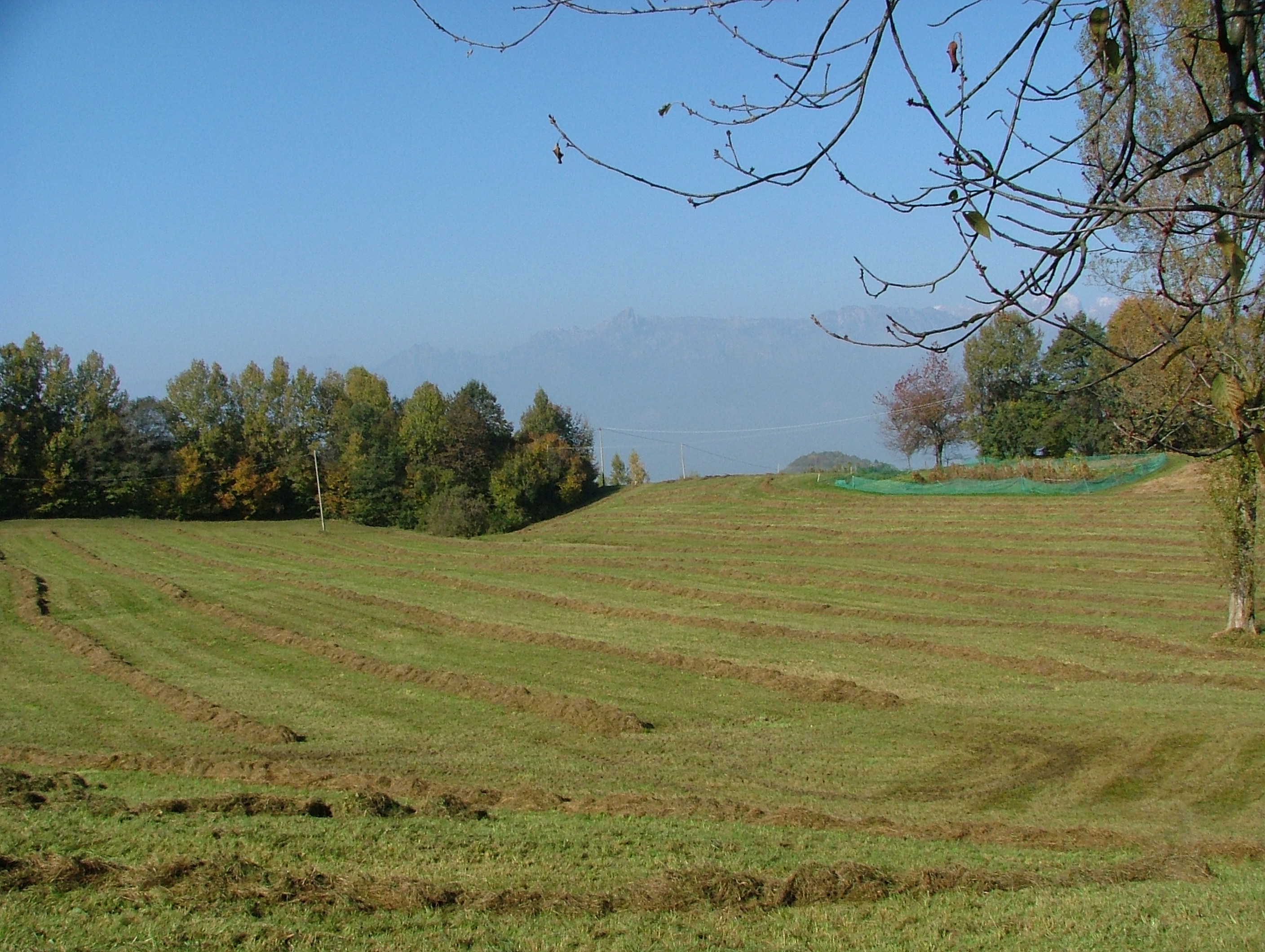 DSCF2736.JPG