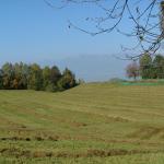 DSCF2736.JPG