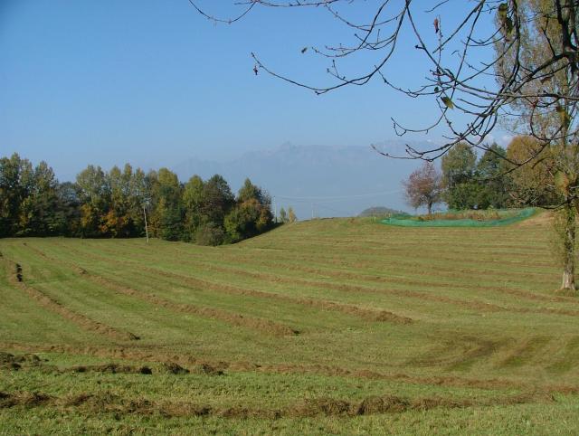 DSCF2736.JPG
