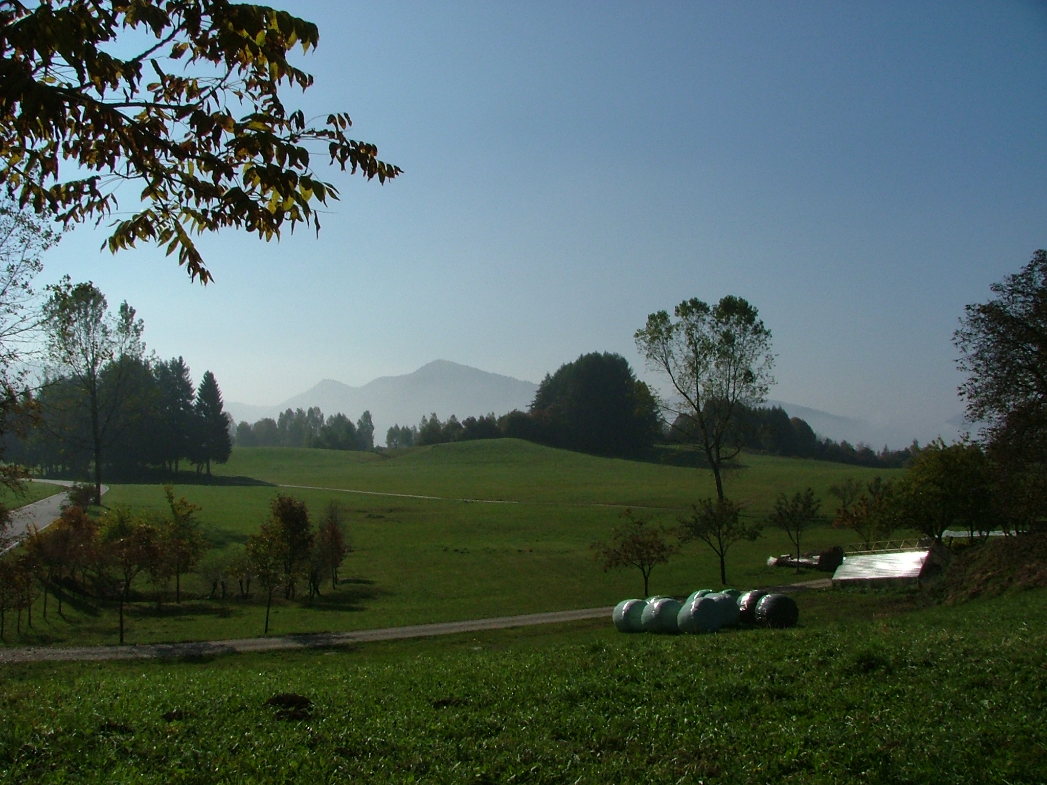 DSCF2737.JPG