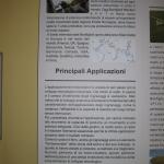 Immagine 056
