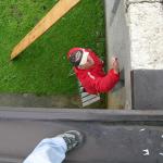 DSCN0186.JPG