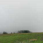 DSCN0195.JPG