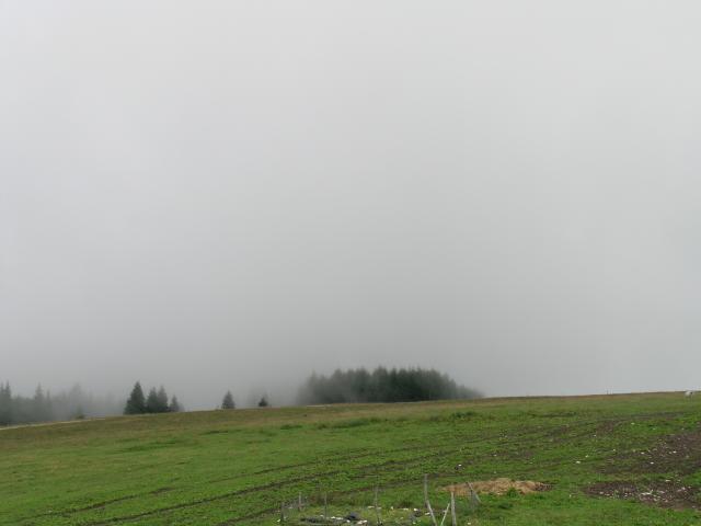 DSCN0195.JPG