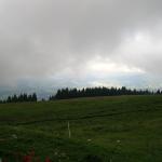 DSCN0208.JPG