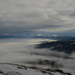 IMG_1466.jpg