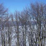 DSC00388