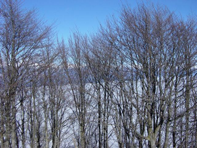 DSC00388