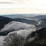 IMG_1493.jpg