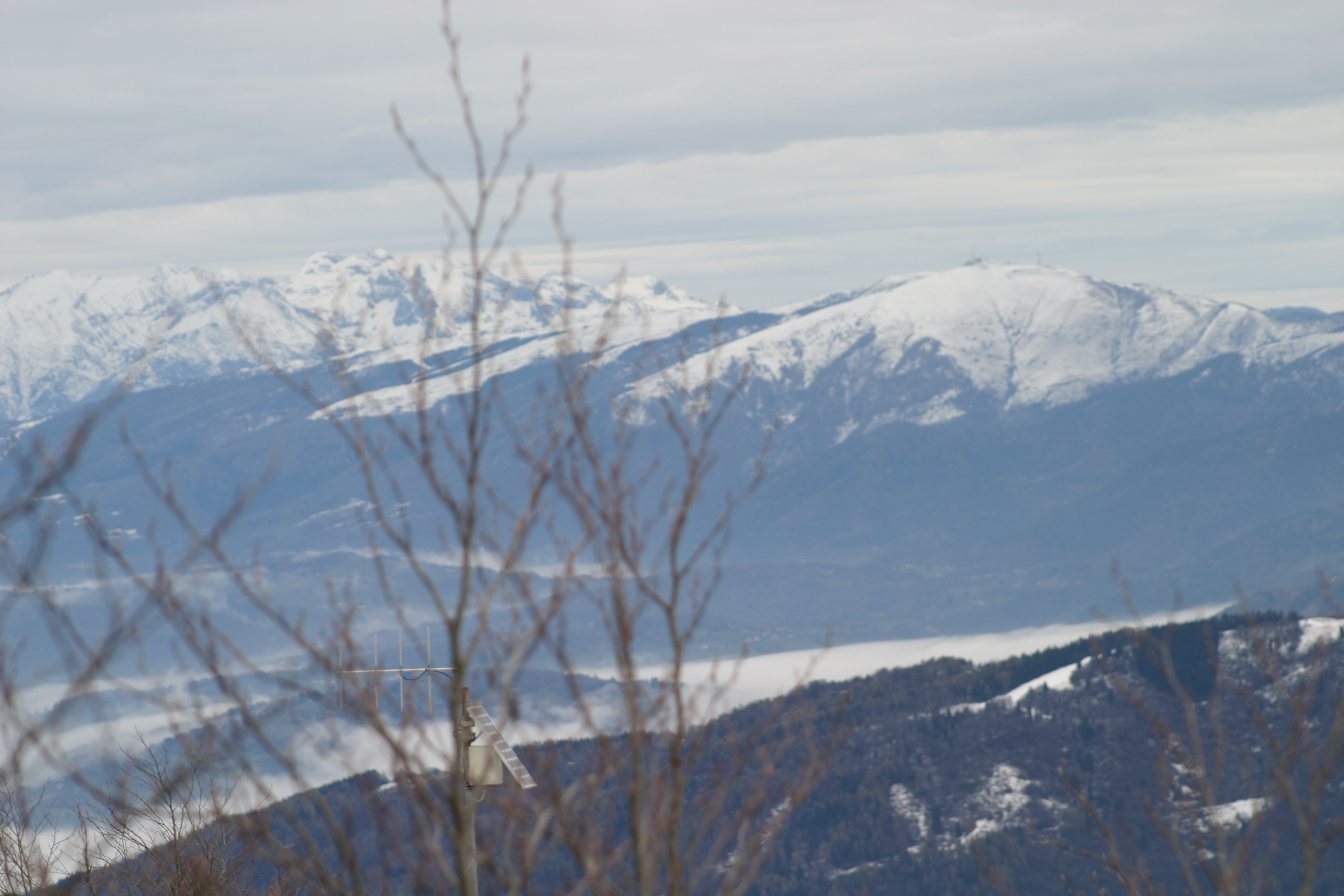 IMG_1521.jpg