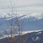 IMG_1521.jpg