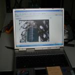 IMG_1533.jpg