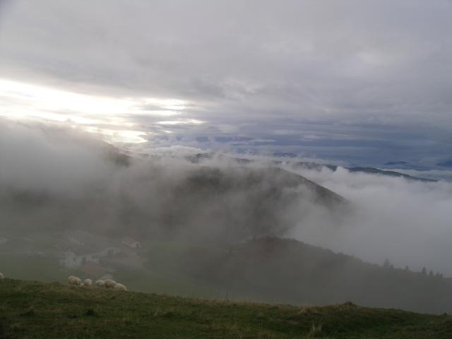 100_0315.JPG